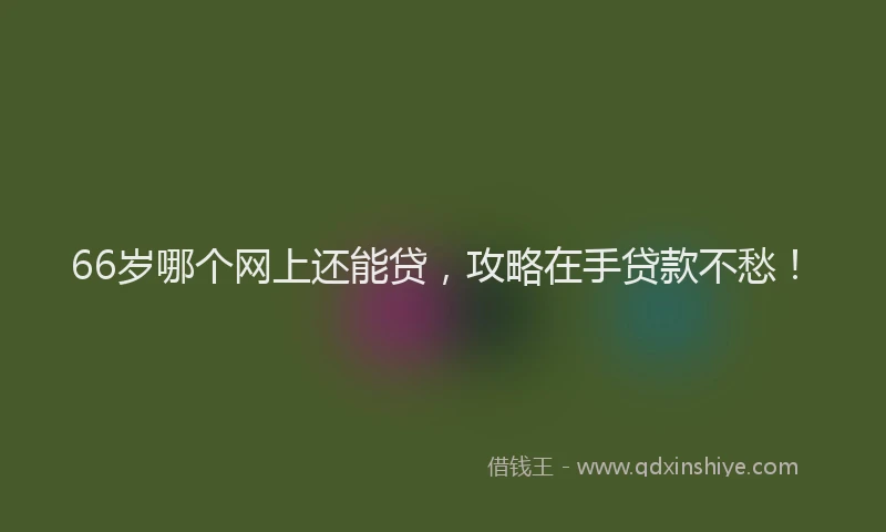 66岁哪个网上还能贷，攻略在手贷款不愁！