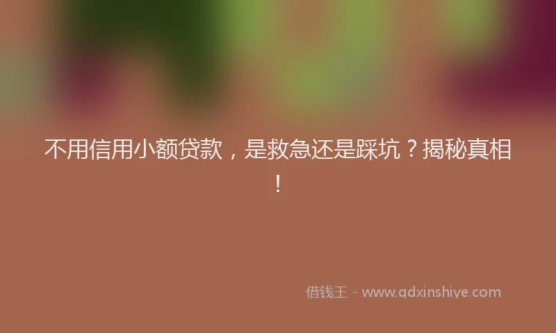 不用信用小额贷款，是救急还是踩坑？揭秘真相！