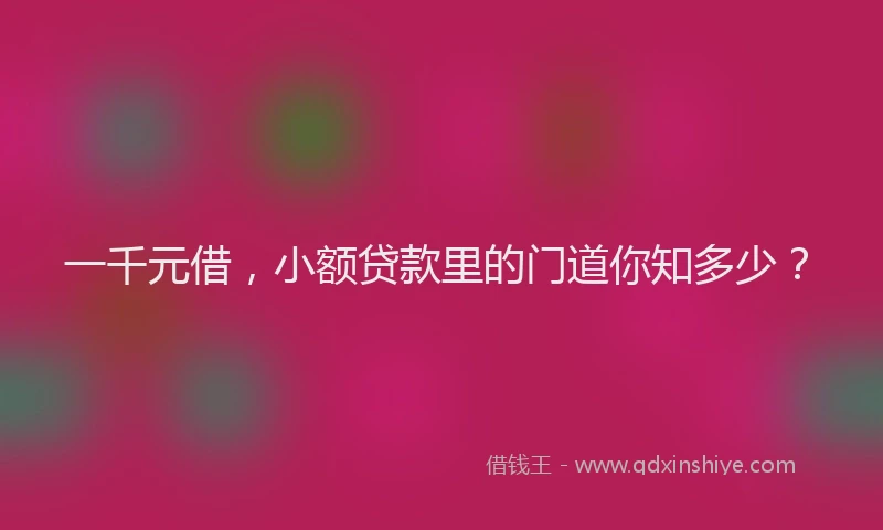 一千元借，小额贷款里的门道你知多少？