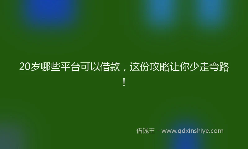 20岁哪些平台可以借款，这份攻略让你少走弯路！