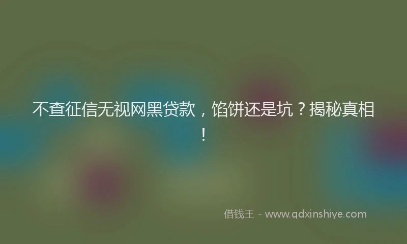 不查征信无视网黑贷款，馅饼还是坑？揭秘真相！