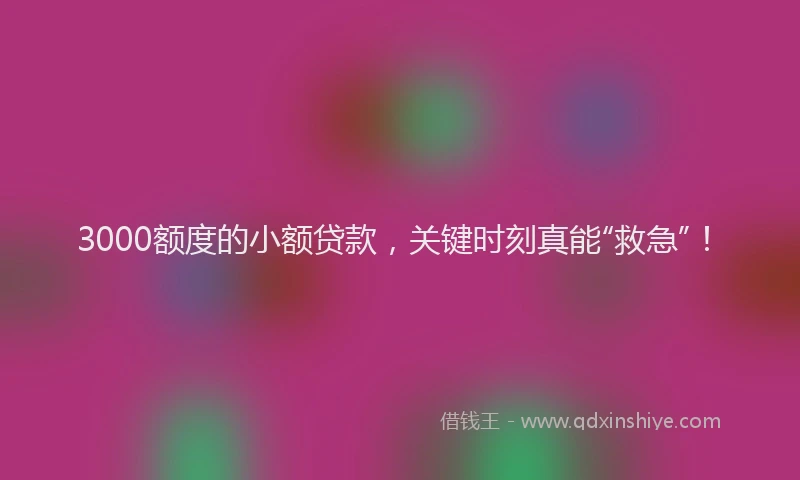 3000额度的小额贷款，关键时刻真能“救急”！