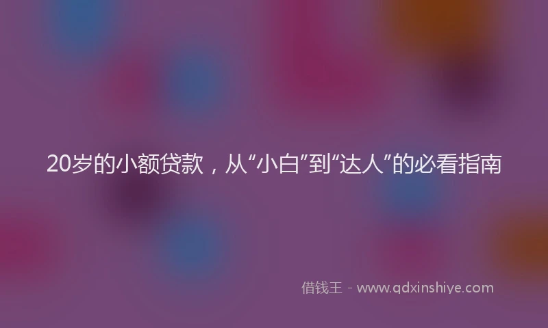 20岁的小额贷款，从“小白”到“达人”的必看指南