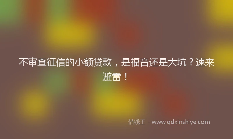 不审查征信的小额贷款，是福音还是大坑？速来避雷！