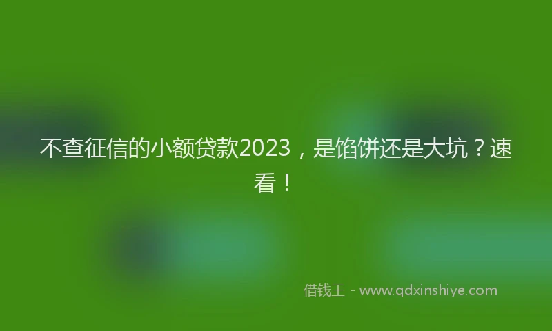 不查征信的小额贷款2023，是馅饼还是大坑？速看！