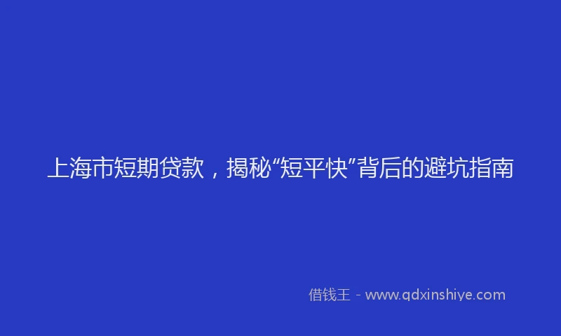 上海市短期贷款，揭秘“短平快”背后的避坑指南