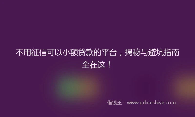 不用征信可以小额贷款的平台，揭秘与避坑指南全在这！