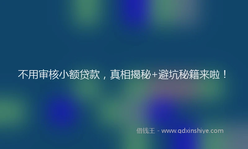 不用审核小额贷款，真相揭秘+避坑秘籍来啦！