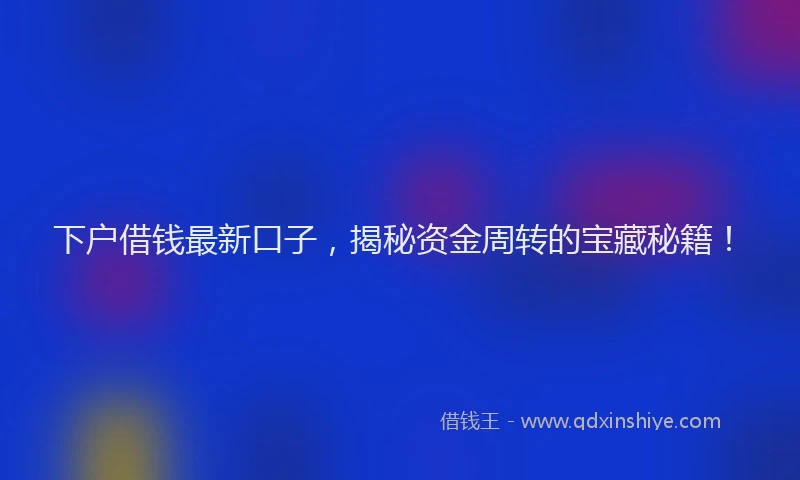 下户借钱最新口子，揭秘资金周转的宝藏秘籍！