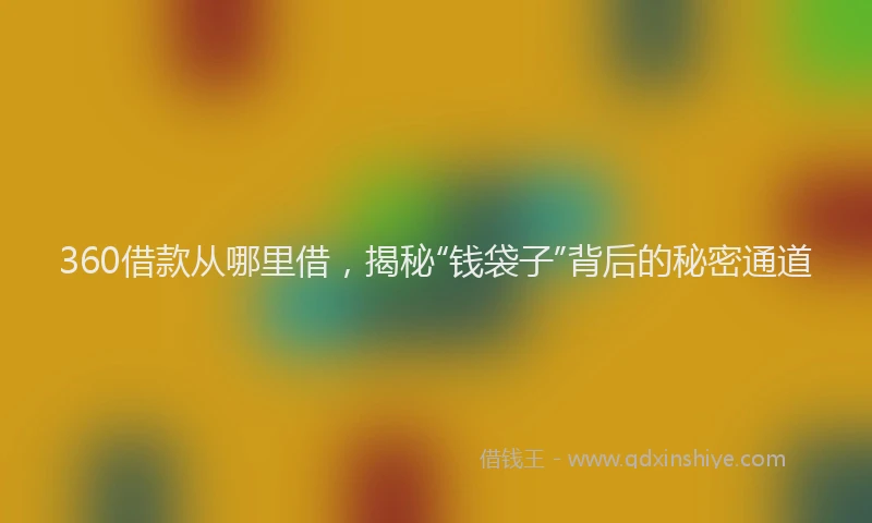360借款从哪里借，揭秘“钱袋子”背后的秘密通道