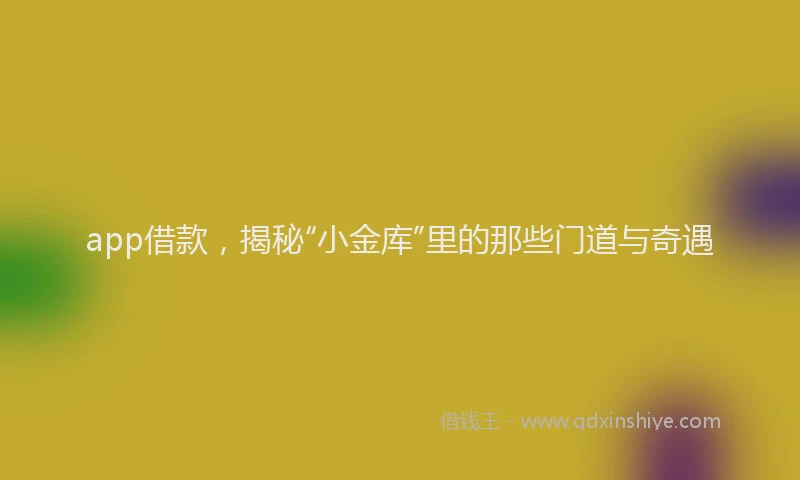 app借款，揭秘“小金库”里的那些门道与奇遇