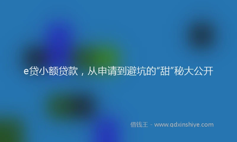 e贷小额贷款，从申请到避坑的“甜”秘大公开