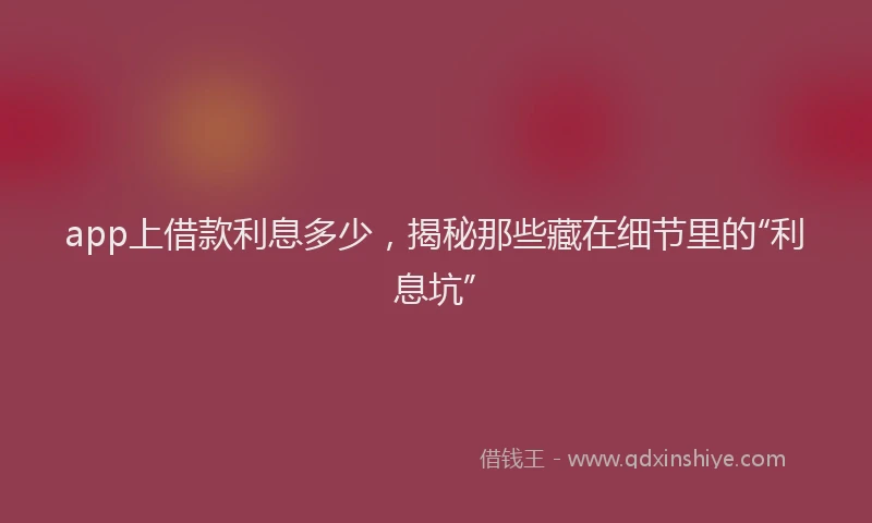 app上借款利息多少，揭秘那些藏在细节里的“利息坑”