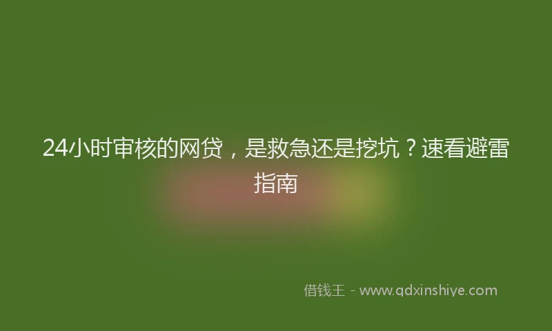 24小时审核的网贷，是救急还是挖坑？速看避雷指南