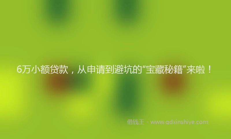 6万小额贷款，从申请到避坑的“宝藏秘籍”来啦！