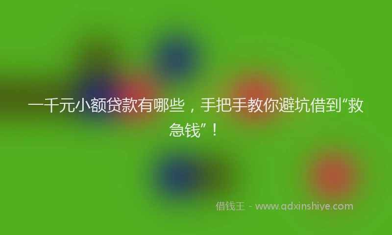 一千元小额贷款有哪些，手把手教你避坑借到“救急钱”！