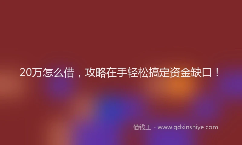 20万怎么借,攻略在手轻松搞定资金缺口!