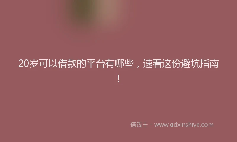 20岁可以借款的平台有哪些,速看这份避坑指南!