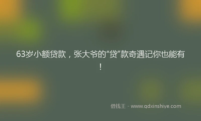 63岁小额贷款，张大爷的“贷”款奇遇记你也能有！