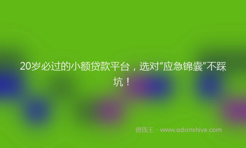 20岁必过的小额贷款平台，选对“应急锦囊”不踩坑！