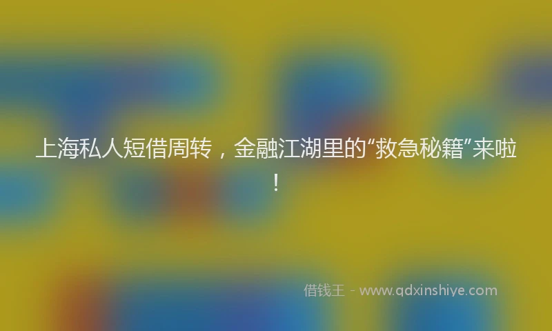 上海私人短借周转，金融江湖里的“救急秘籍”来啦！