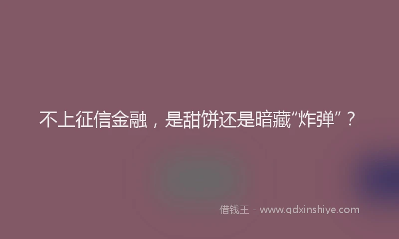 不上征信金融，是甜饼还是暗藏“炸弹”？