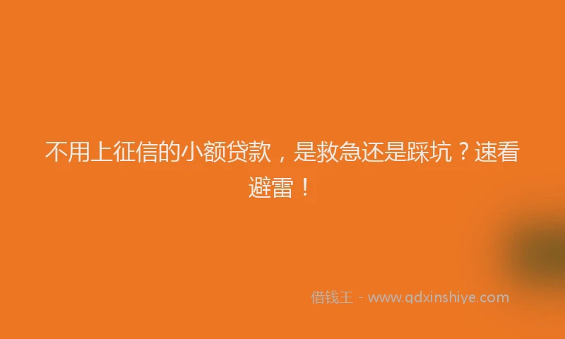 不用上征信的小额贷款，是救急还是踩坑？速看避雷！