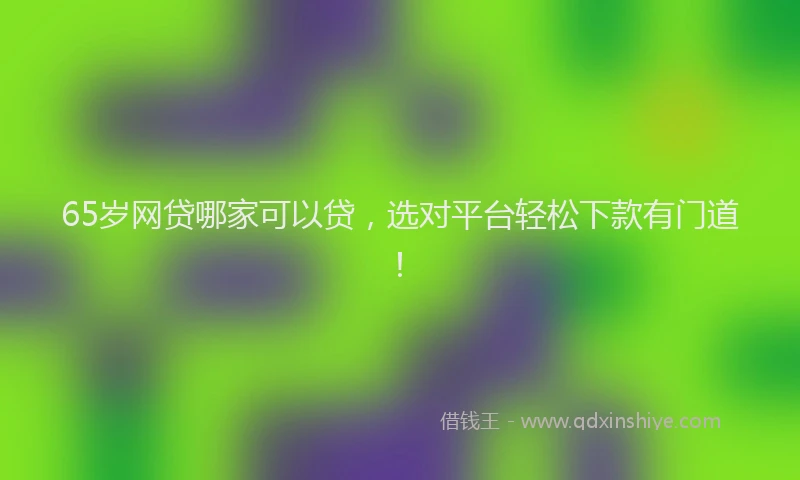 65岁网贷哪家可以贷,选对平台轻松下款有门道!