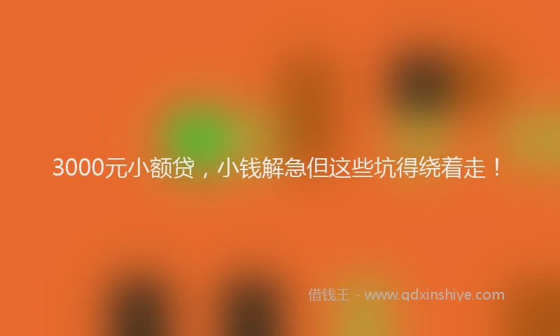 3000元小额贷，小钱解急但这些坑得绕着走！