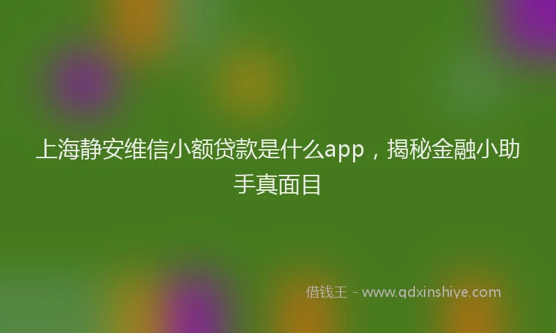 上海静安维信小额贷款是什么app，揭秘金融小助手真面目