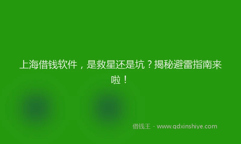 上海借钱软件，是救星还是坑？揭秘避雷指南来啦！