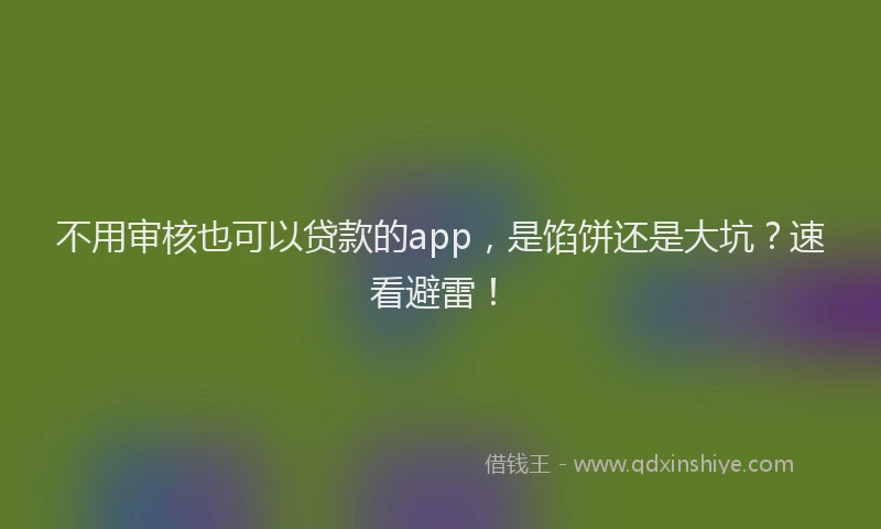 不用审核也可以贷款的app，是馅饼还是大坑？速看避雷！