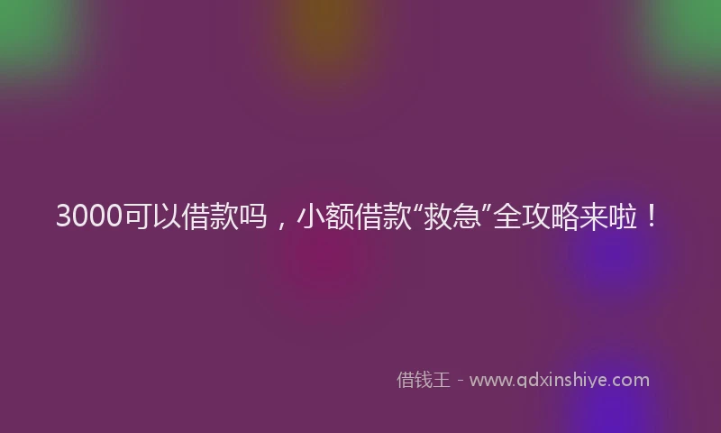 3000可以借款吗，小额借款“救急”全攻略来啦！