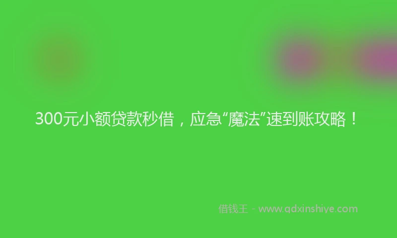 300元小额贷款秒借，应急“魔法”速到账攻略！