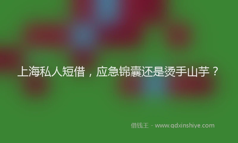 上海私人短借，应急锦囊还是烫手山芋？