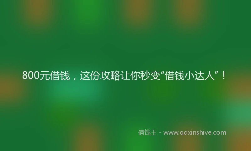 800元借钱，这份攻略让你秒变“借钱小达人”！