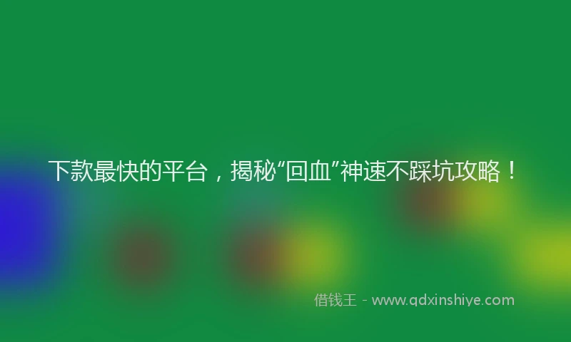 下款最快的平台，揭秘“回血”神速不踩坑攻略！