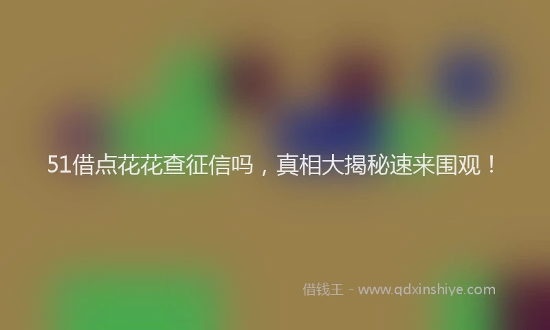 51借点花花查征信吗，真相大揭秘速来围观！