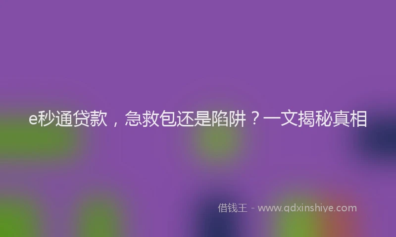 e秒通贷款，急救包还是陷阱？一文揭秘真相