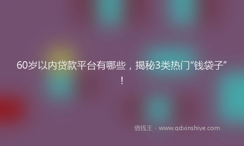 60岁以内贷款平台有哪些，揭秘3类热门“钱袋子”！