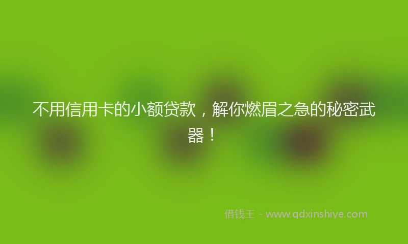 不用信用卡的小额贷款，解你燃眉之急的秘密武器！