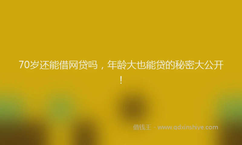 70岁还能借网贷吗，年龄大也能贷的秘密大公开！