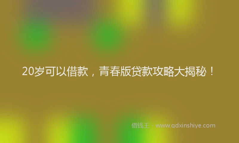 20岁可以借款，青春版贷款攻略大揭秘！