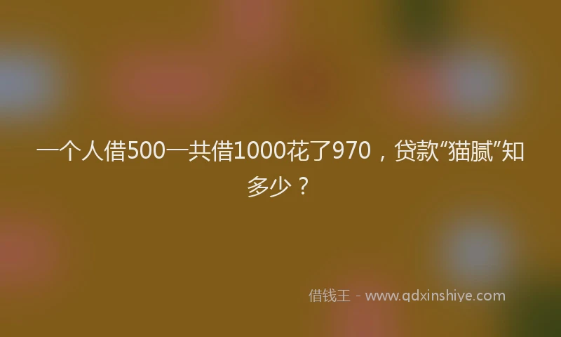 一个人借500一共借1000花了970，贷款“猫腻”知多少？
