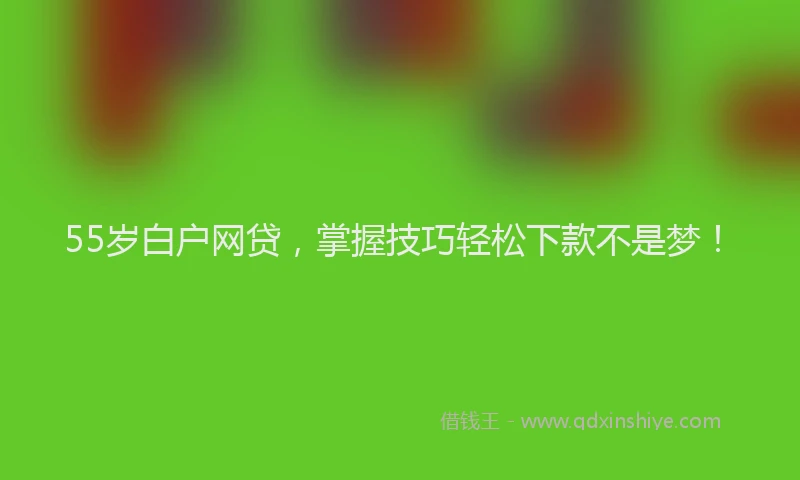 55岁白户网贷，掌握技巧轻松下款不是梦！
