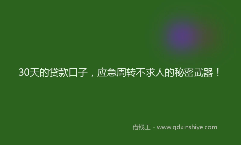 30天的贷款口子，应急周转不求人的秘密武器！