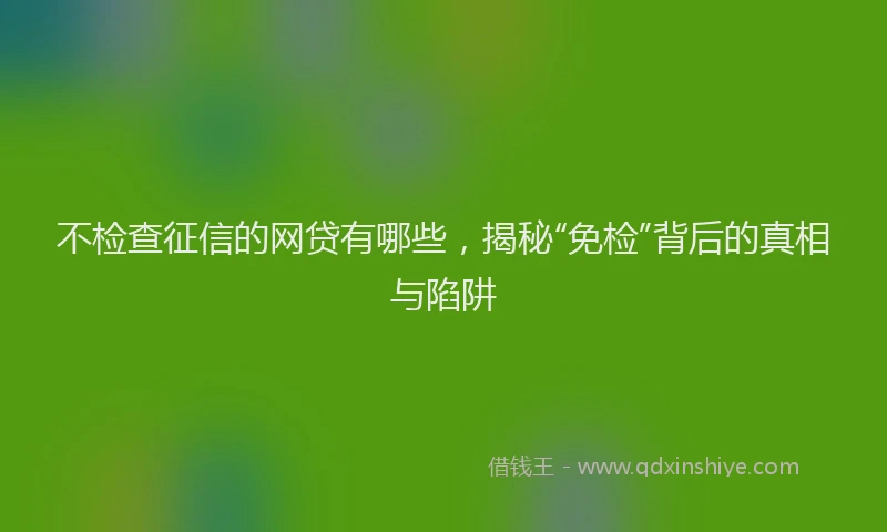不检查征信的网贷有哪些，揭秘“免检”背后的真相与陷阱