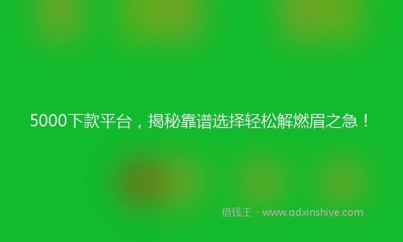 5000下款平台，揭秘靠谱选择轻松解燃眉之急！