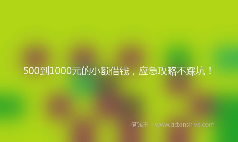 500到1000元的小额借钱，应急攻略不踩坑！