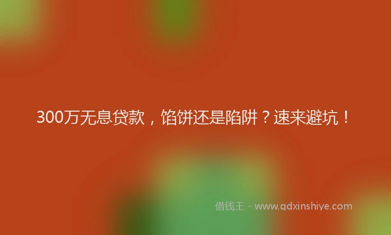 300万无息贷款，馅饼还是陷阱？速来避坑！